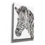 «Bright Zebra» par Cindy Jacobs