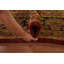 Tapis 11 pi 9 po x 9 pi 0 po