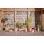 Awa Planter