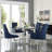 Baek Jane Acrylic Leg Dining Chair-23690564
