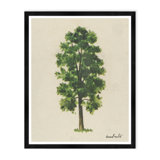 Oval Tree Print