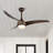 Coleigh 52'' Ceiling Fan with LED Lights-2010980606