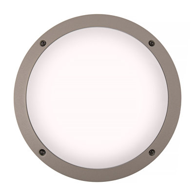 Witteride 30cm H Outdoor Ceiling Light