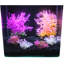 Accessoire d'aquarium