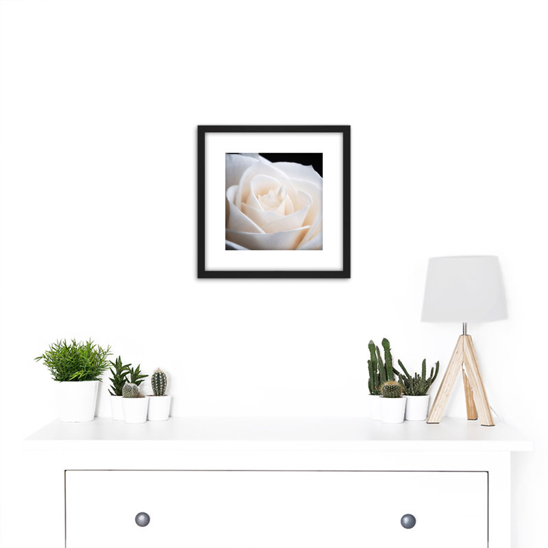 DeSousa White Rose Flower - Single Picture Frame Print