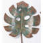 Patina Botanical Garden Stakes