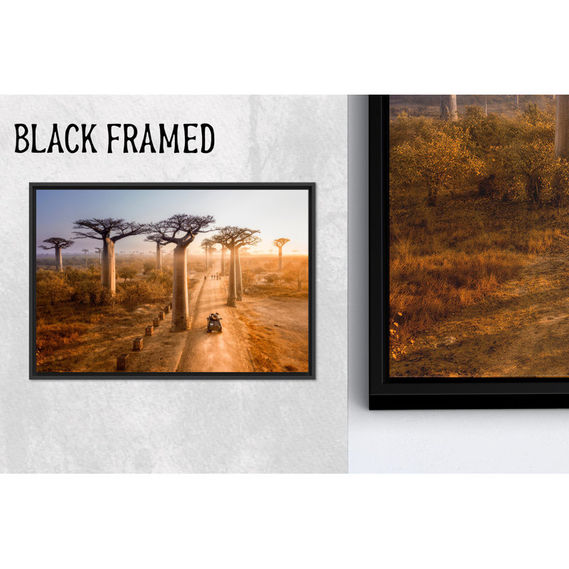 «Madagascar Baobab Tree», reproduction d'art sur toile, paysage noir, 1P, H: 11,9 po x l: 15,8 po