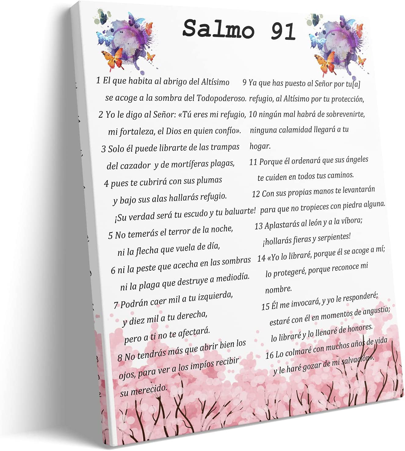 SALMO 91 91 VEZES 