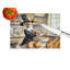 Pomeranian Fall Kitchen Pumpkins Glass Cutting Board Large