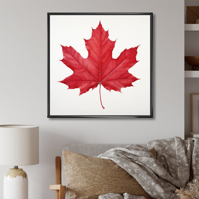 " Scarlet Maple Leaf Simplicity II ", Black Floater Framed, 24" H x 24" W x 1" D