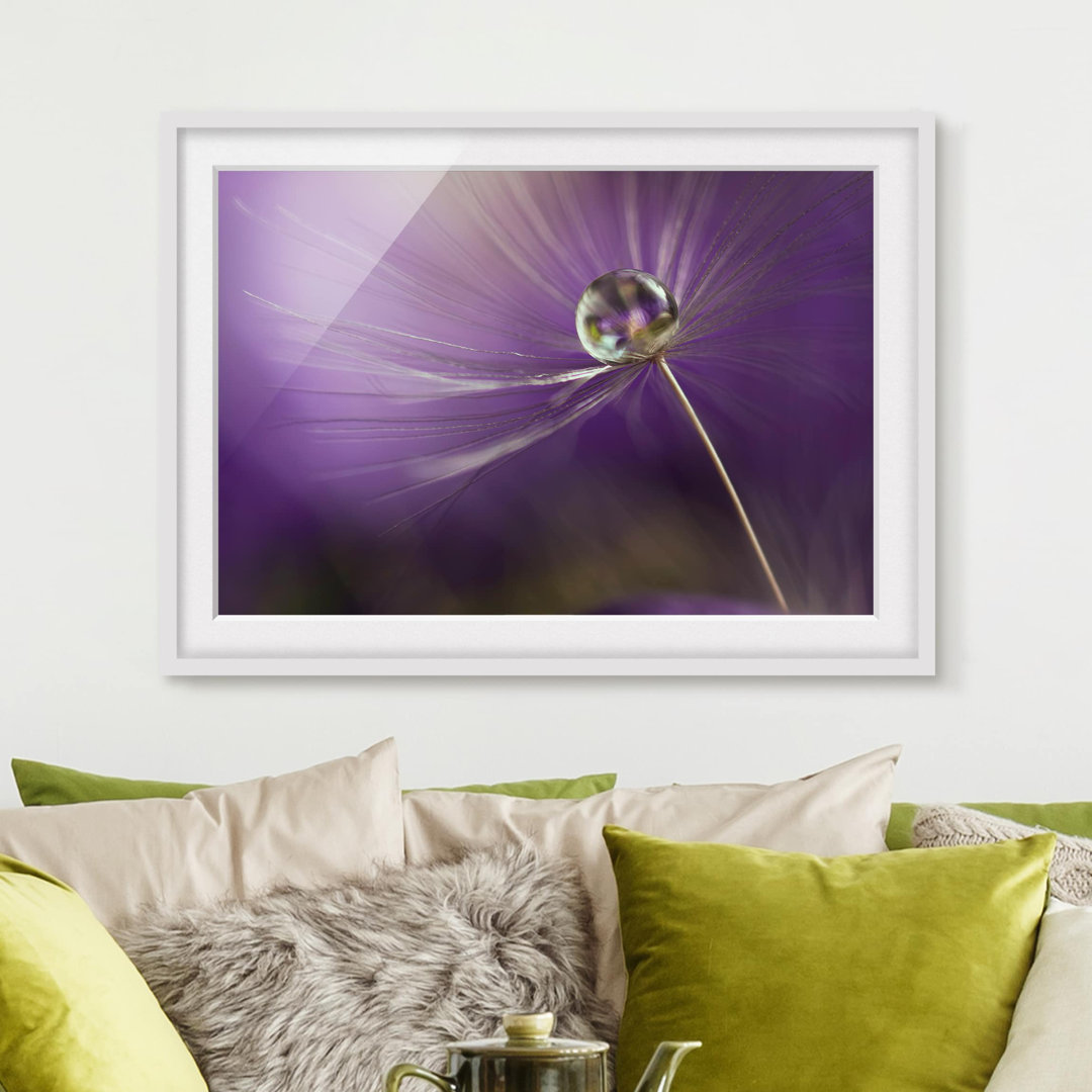 Gerahmter Kunstdruck Dandelion