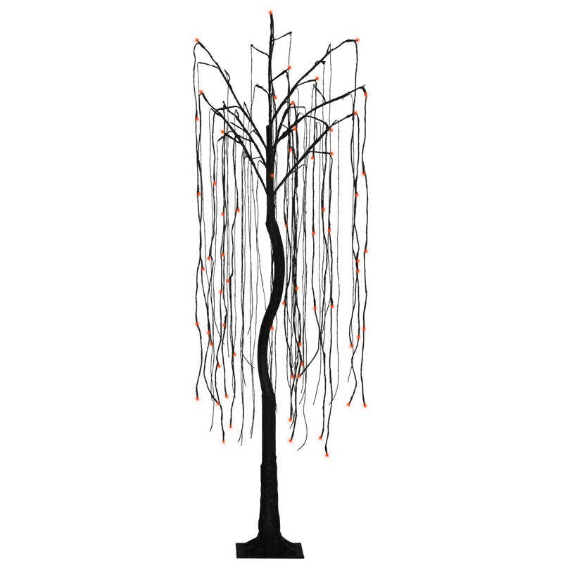 Arbres et branches éclairés