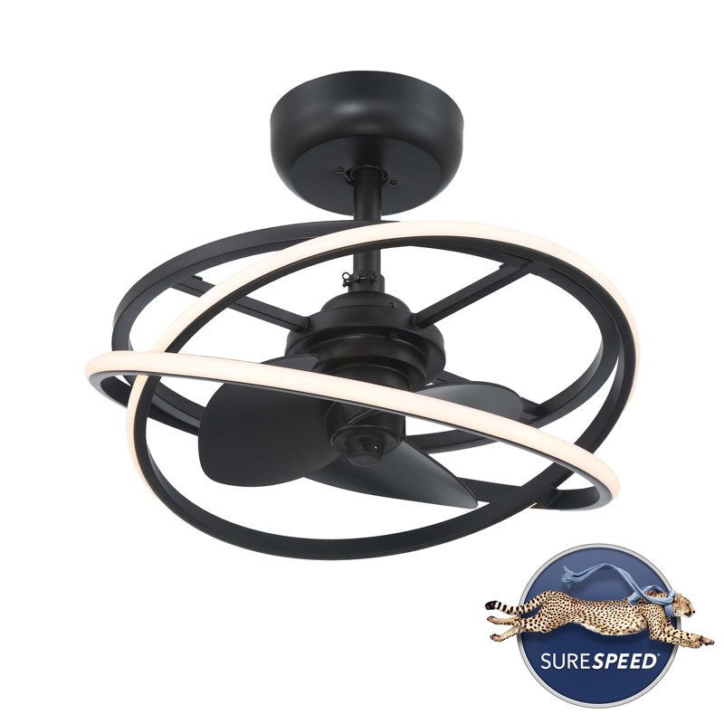 Hunter 20 inch Cirro Fandelier Ceiling Fan with LED Light Kit and Handheld Remote