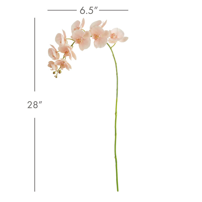 Ensemble de 4 tiges d'orchidées PHALAENOPSIS, Pink