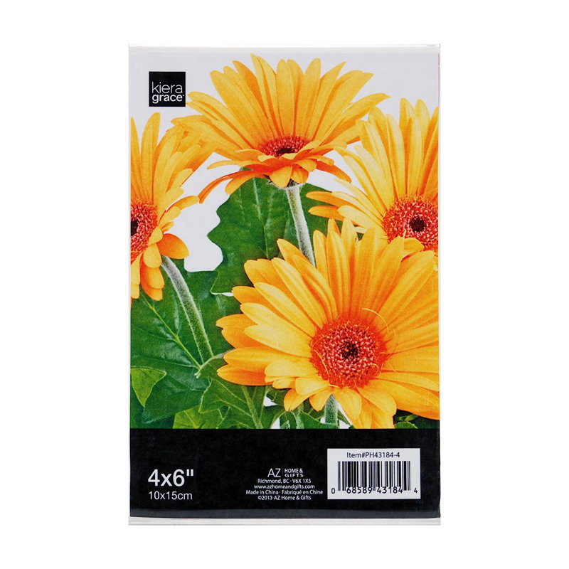 Cadre photo simple en transparent, 4 po x 6 po
