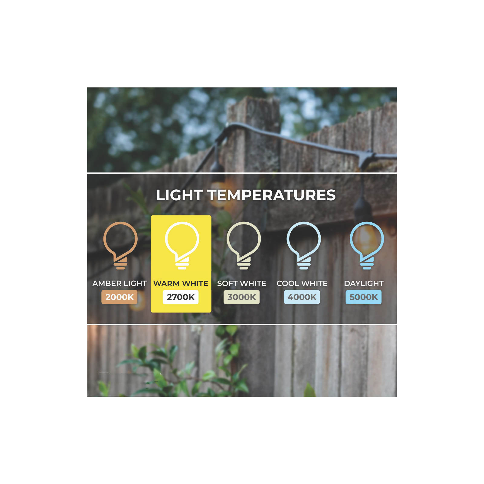 10-Light 14 ft. Globe String Light