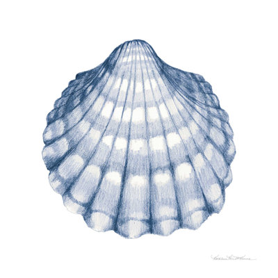Coquillages III bleu et blanc