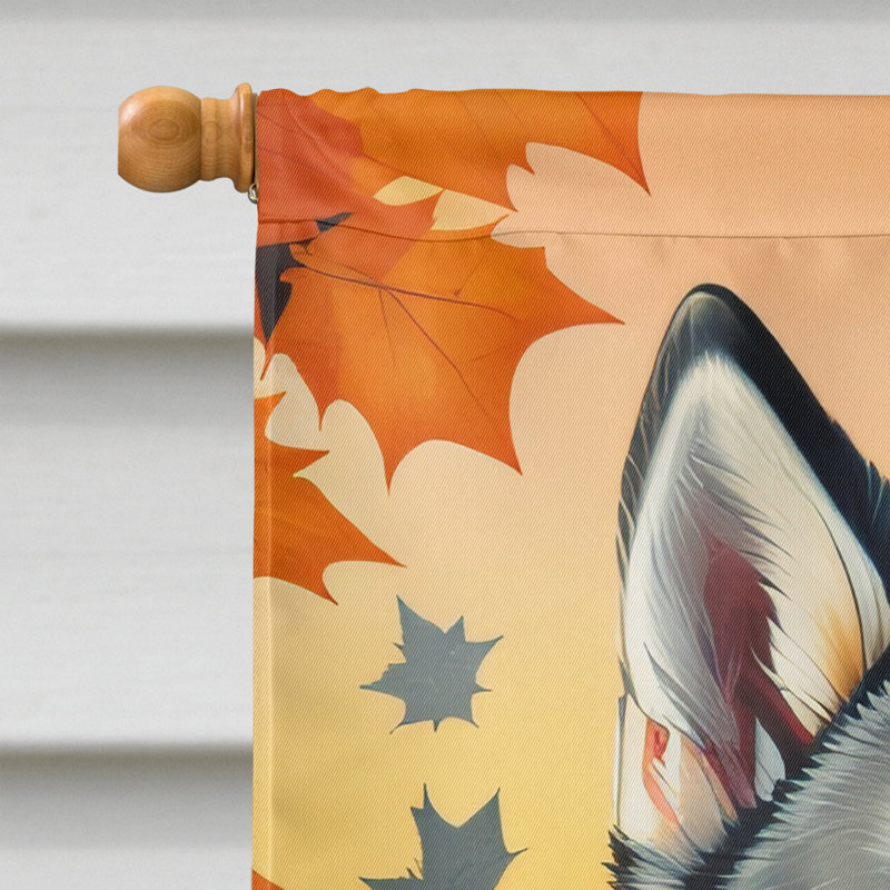 Drapeau de maison en polyester à double face H 40 po x l 28 po