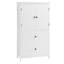 Armoire de rangement pour salle de bain avec deux portes et tiroirs, armoire à panneau en MDF avec tablette réglable pour la salle de bain, la cuisine et le bureau-620584748