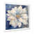 Cadre simple blanc