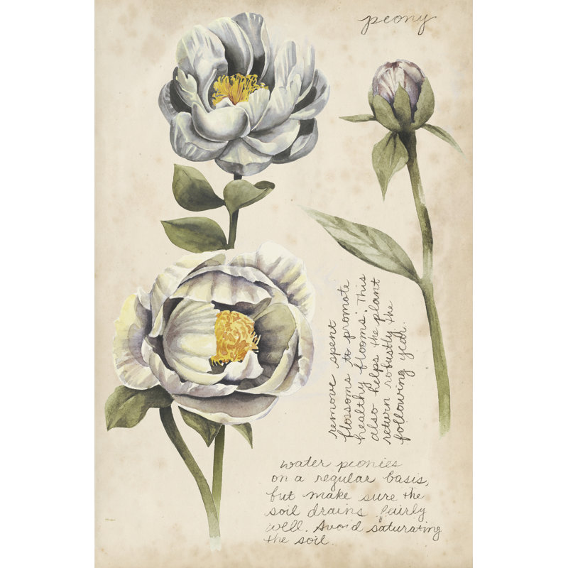 Garden Studies IV by Grace Popp -  Painting, 46 cm H x 30 cm W, Wrapped Canvas