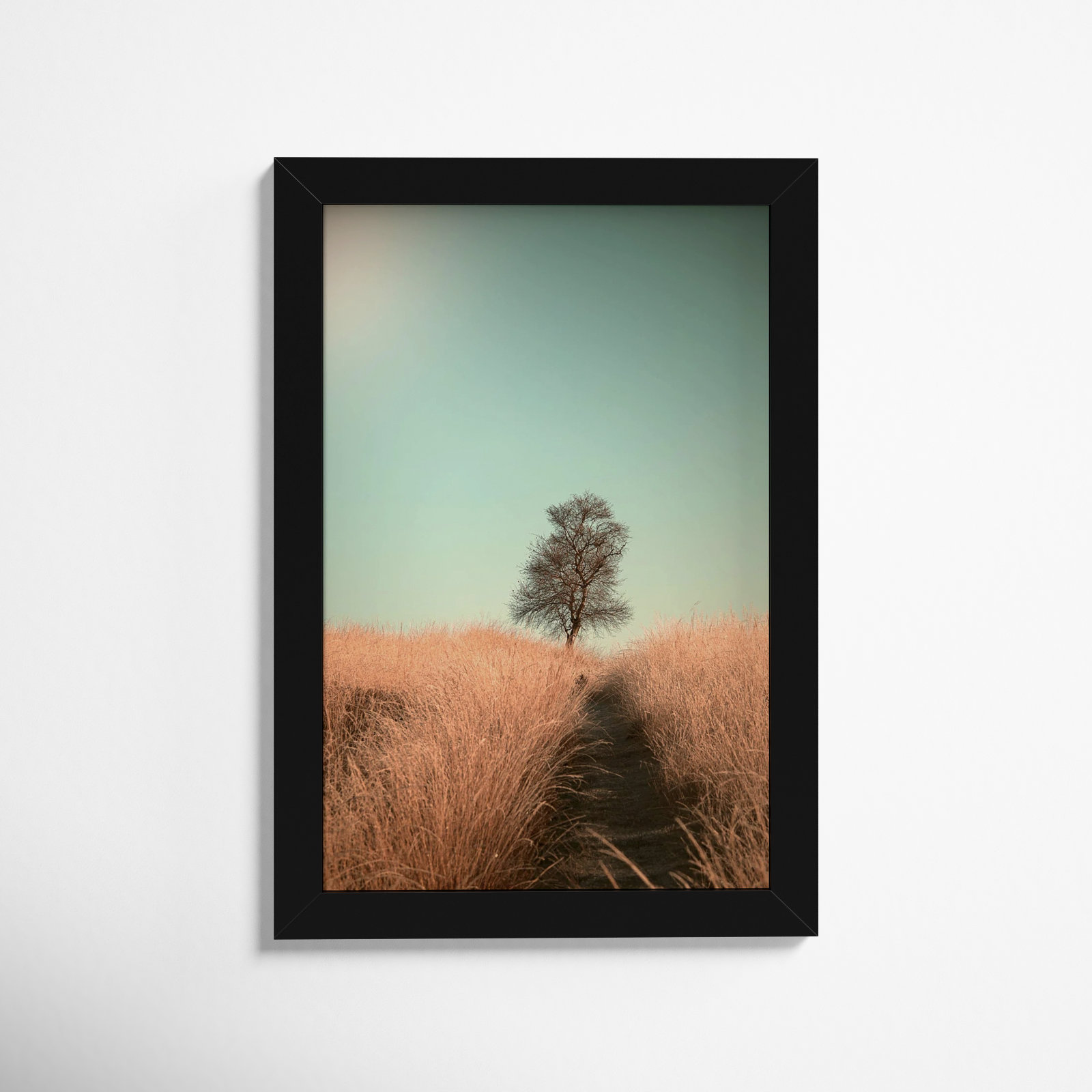 Grass And Path by Jaap Van Den, 9" W x 13" H, Black