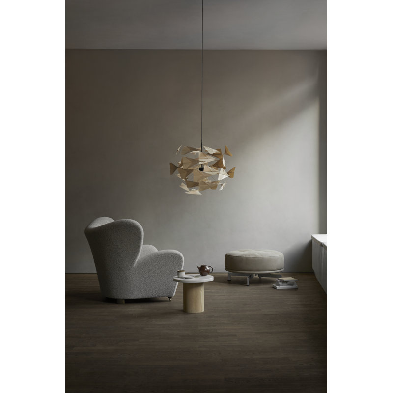 TR747 1 - Light Pendant