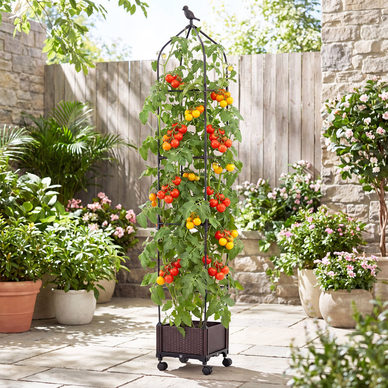 200cm H x 30cm W Gothic Trellis