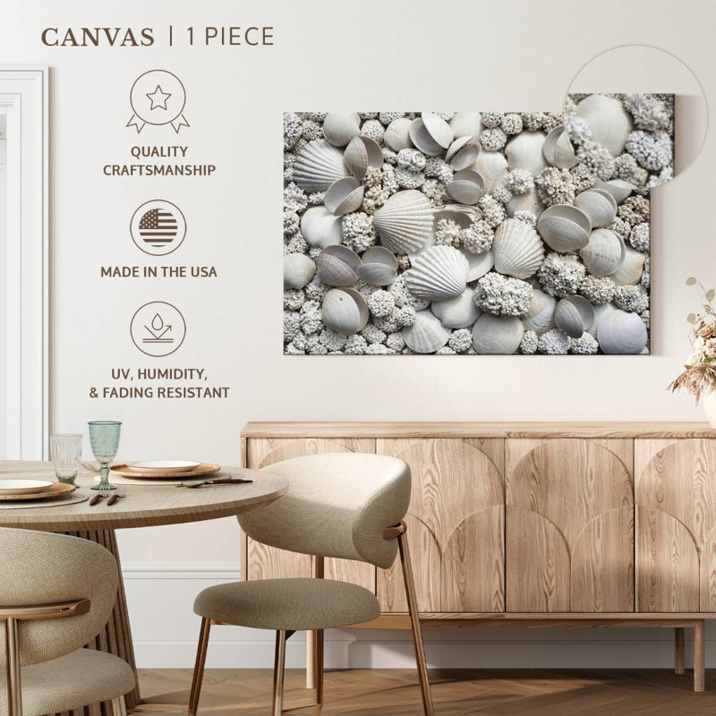 White seashells Aletra, H 32 po x l 48 po