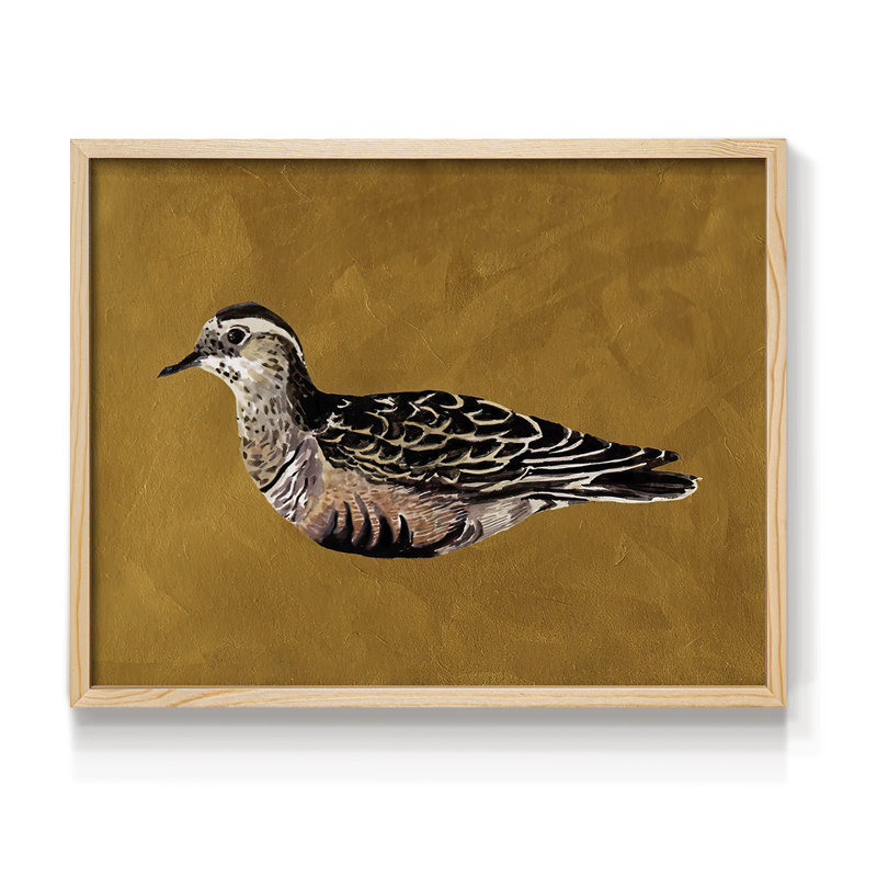 «Feathered Friend I», reproduction encadrée, H 8 po x l 10 po, Naturel