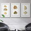 Ensemble de 3 pièces de poissons tropicaux antiques I encadrés sur toile-97759342-97759347