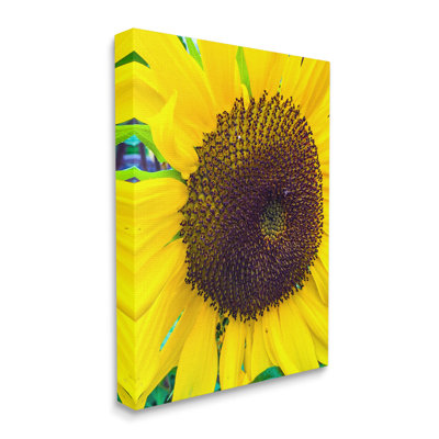 Gros plan, tournesol jaune, nature botanique, par Heidi Bannon - photographie sur toile flottante