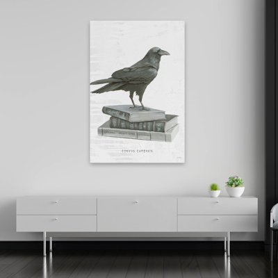 Halloween Treats VII - animaux oiseaux noir et noir et blanc