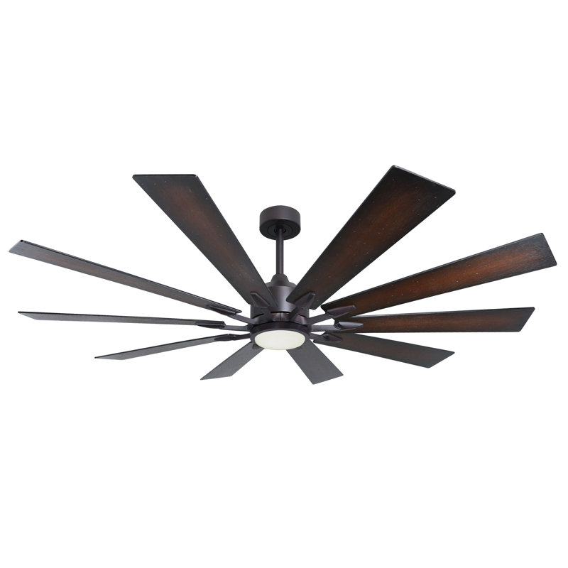 Kayeden 66'' Ceiling Fan with LED Lights