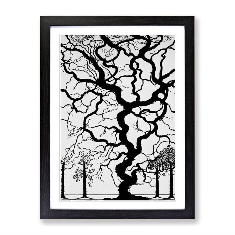 Monochrome Tree No.4 - Framed Print, Black Framed, 64cm H x 46cm W x 2cm D