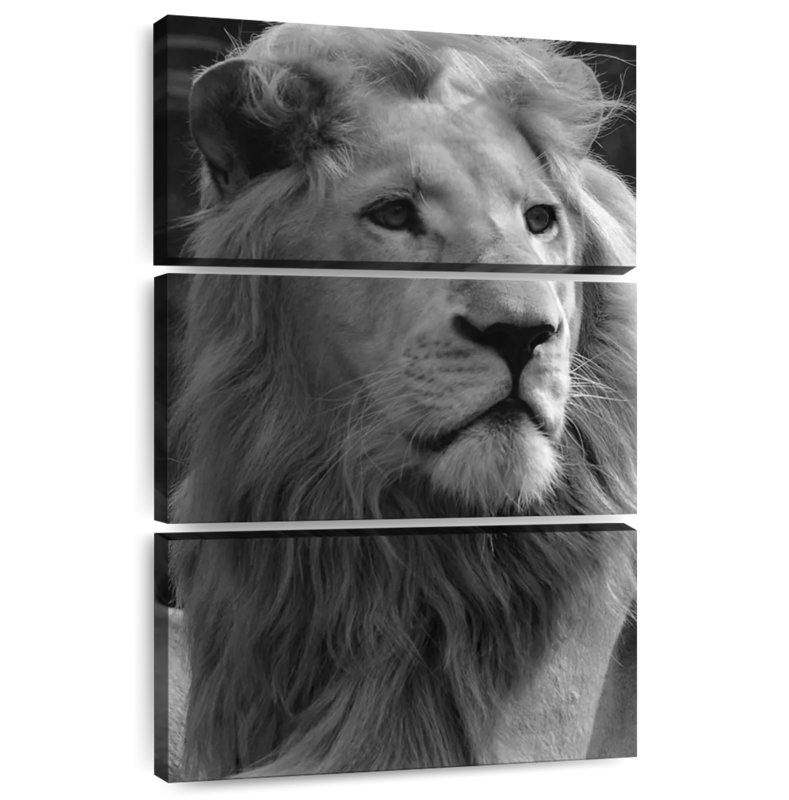 Lion monochromatique Brampt, H 74 po x l 48 po