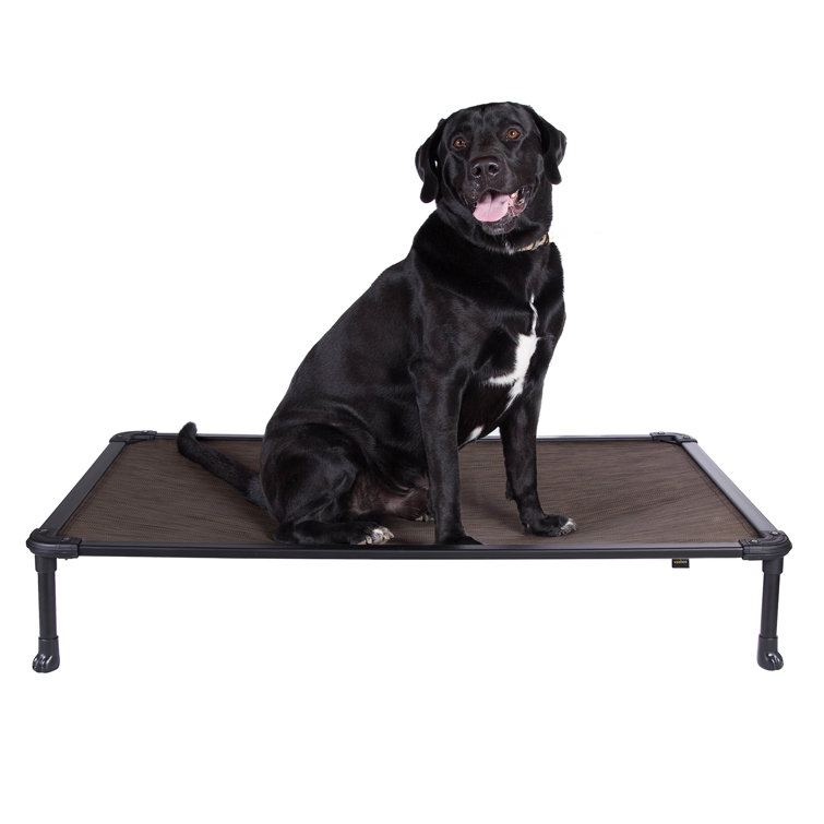 Tucker Murphy Pet? Chew Proof Elevated Dog Bed - Cooling Raised Pet Cot - Aluminum Frame And Durable PVC-Coated Polyester Mesh Fabric, Unique Designed No-Slip Feet For Indoor Or Outdoor Use