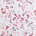 Mystic Garden Pink