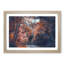 Stream Behind the Red Trees - Picture Frame Graphic Art Print-56706088-56706083