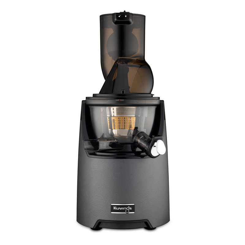 Gun Metal Slow Masticating Juicer with Leather Finish