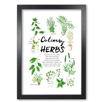 Culinary Herbs - Single Picture Frame Print