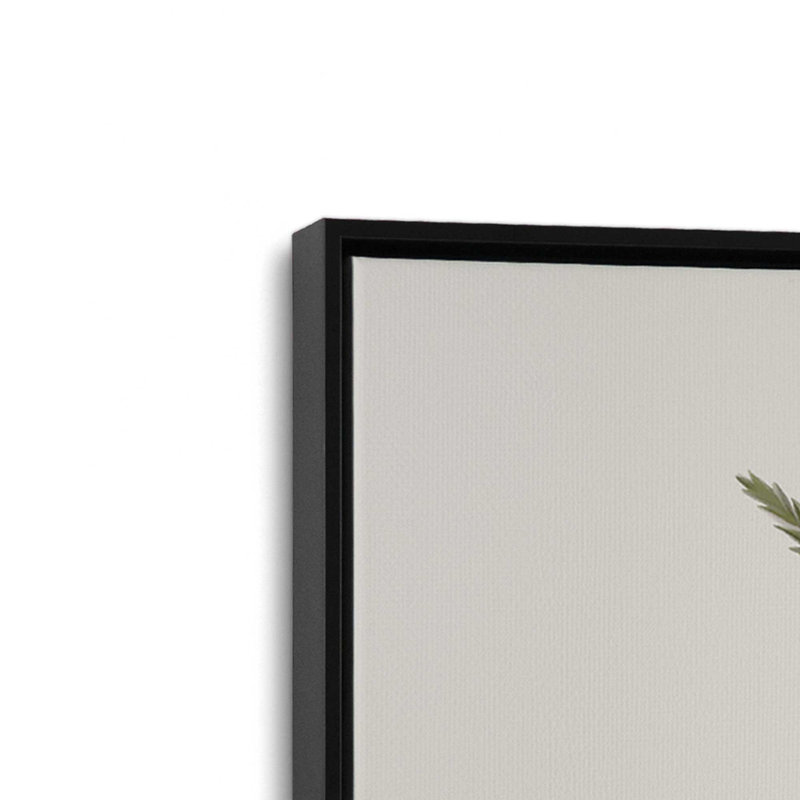 «Garden Greens II» par House Fenway, reproduction d'art, Toile avec cadre, Noir, L 18 po x H 24 po