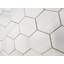 Bianco Dolomite 4 "Hexagon Mat