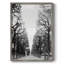 «French Avenue», reproduction encadrée - bois massif-481795481