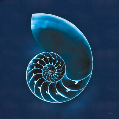 Mer de cyanorphe II