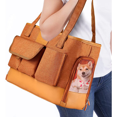 Plastic Collapsible Pet Carrier