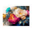 Art sur toile, pivoine bolognaise-104104539