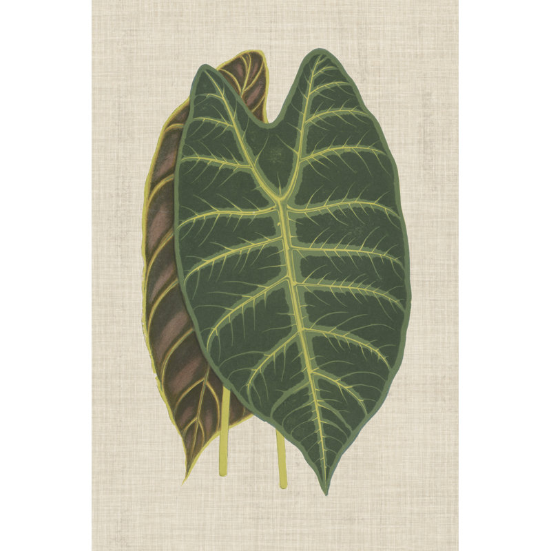 Leaves on Linen III - Graphic Art, 91 cm H x 61 cm W, Wrapped Canvas