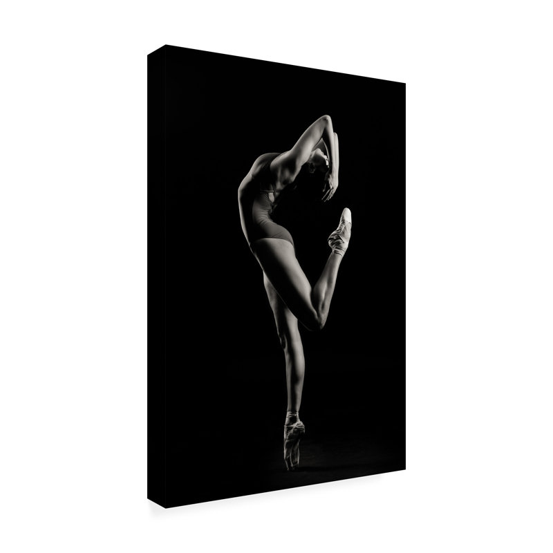 «Dancer» par Sergueï Smirnov, impression sur toile sans cadre, L 12 po x H 19 po