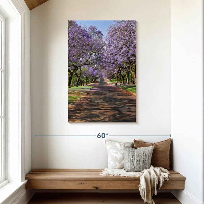 Jacaranda Sireci, H 45 po x l 30 po